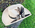 Texana leopard